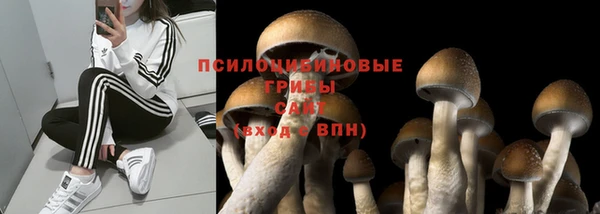 первитин Бронницы