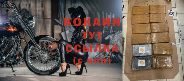 бошки Семилуки