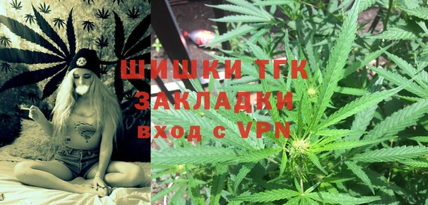 PSILOCYBIN Бородино